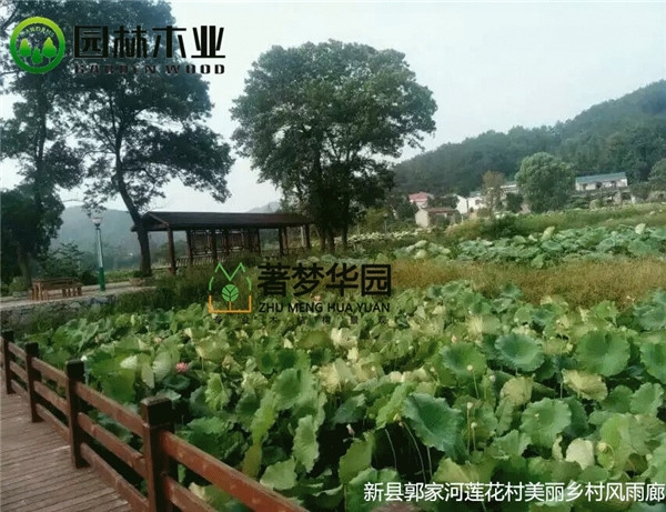 湖南好色视频下载風雨廊